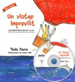 Un viatge imprevist