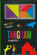 Tangram magnètic