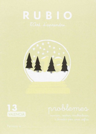 PROBLEMES 13