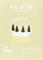 PROBLEMES 13
