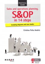 Sales and operations planning. S&OP in 14 steps