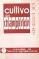 CULTIVO DEL CHAMPIÑÓN