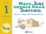 Katu bat zapata kaxa batean