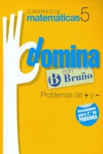 (11).DOMINA 5.PROBLEMAS + Y -  (2º PRIM)
