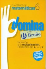 (11).DOMINA 6.INICIACION A LA MULTIPLICACION (2º/3º PRIM)
