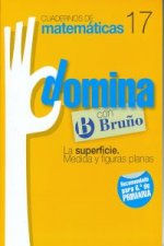 (11).DOMINA 17.SUPERFICIE,MEDIDAS Y FIGURAS PLANAS (6º PRIM)