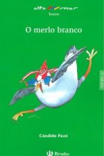 O merlo branco