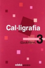 QUAD.CALLIGRAFIA 3.1º PRIM.(EN RUTA)