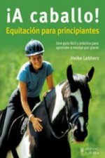 ­A caballo! equitación para principiantes