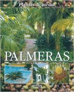 Palmeras, plantas de jardín