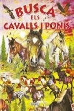 Busca els cavalls i ponis (Busca...)