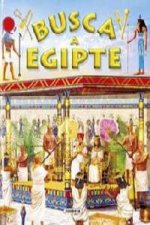 Busca a Egipte (Busca...)