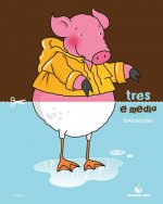 TRES E MEDIO DIMENSIONS