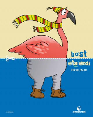BOST ETA ERDI PROBLEMAK