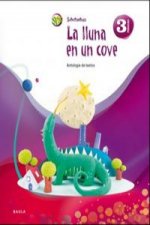 Lluna en cun cove, La 3R primaria