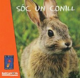 SóC UN CONILL