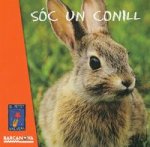 SóC UN CONILL