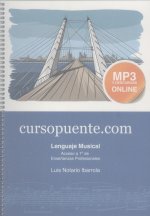 Curso puente acceso a enseñanza profesional