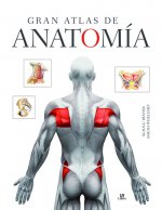 GRAN ATLAS DE ANATOMÍA