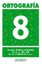 (04).ORTOGRAFIA 8.