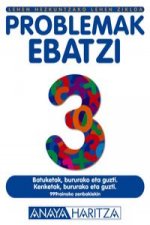 Problemak Ebatzi 3.