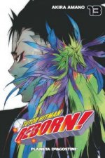 Tutor Hitman Reborn nº13