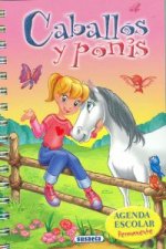 Agenda escolar permanente caballos y ponis