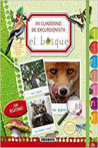 El bosque