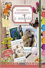 La montaña