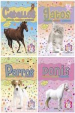 Mascotas con pegatinas surtidos