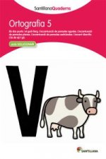 Ortografia, Educació Primària. Quadern 5