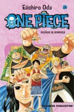 One Piece nº24
