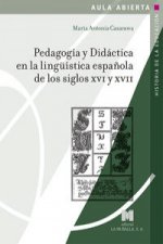 Pedagogía y didáctica en la lingüística española