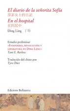 EL DIARIO DE LA SEÑORITA SOFIA, EN EL HOSPITAL - Din Ling [LCH 2]