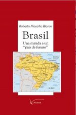 BRASIL:UNA MIRADA A UN 