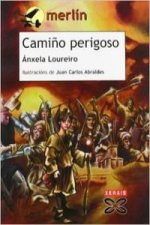 Camiño perigoso