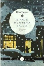 El nadal d'un nen a gal·les