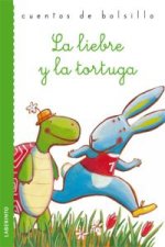 Cuentos de bolsillo
