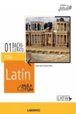 Latín 1 Bachillerato Paulatium