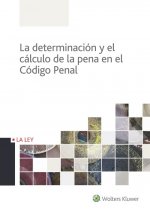 PROCESO PENAL PRACTICO  7ªED.