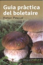 Guia practica del boletaire