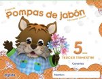 pompas de jabón 5 años 3º trimestre Canarias 2014