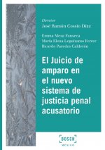 ASPECTOS REGISTRALES DEL PROCESO DE EJECUCIÓN