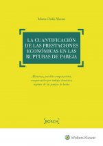 EL JUICIO VERBAL DE DESAHUCIO Y EL DESALOJO DE VIVIENDAS OKUPADAS