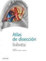 ATLAS DE DISECCIÓN. SOBOTTA