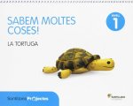 NIVELL 1 LA TORTUGA