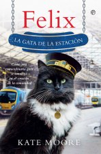 Félix: la gata de la estación