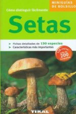 Setas