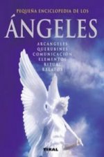 Ángeles (Pequeña enciclopedia)