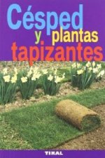 Cesped y plantas tapizantes